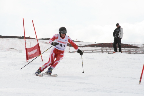 En bild