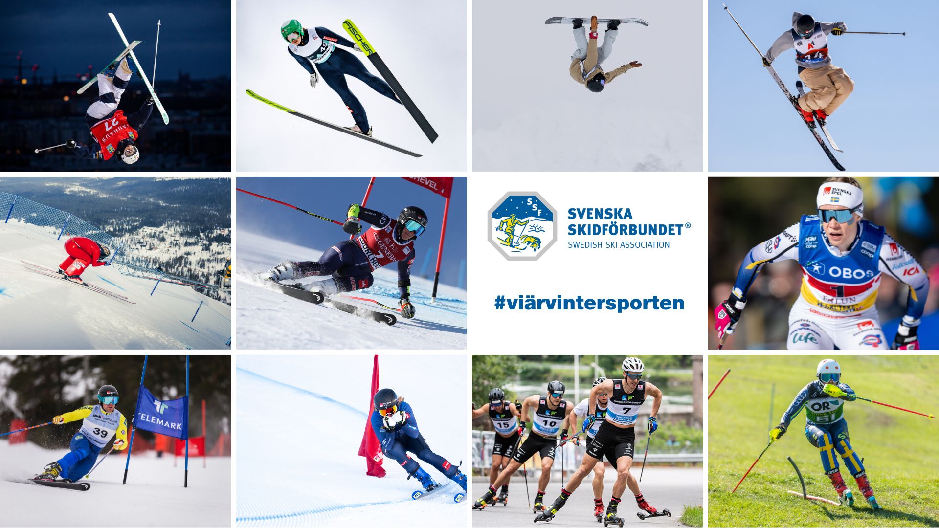Ett bildkollage med förbundets 11 idrotter samt logotyp och texten "Vi är vintersporten"