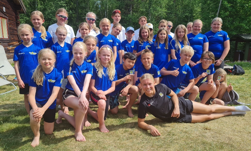 En bild
